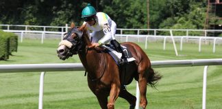 Ефект озера: гравці борються за квиток до Іст-Лейк