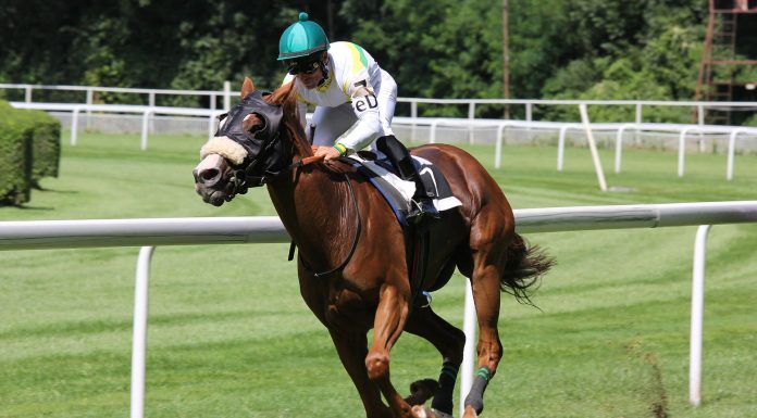 Перемога Tropics була б емоційною для Діна Айворі